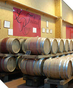 photo-vins-de-rabelais