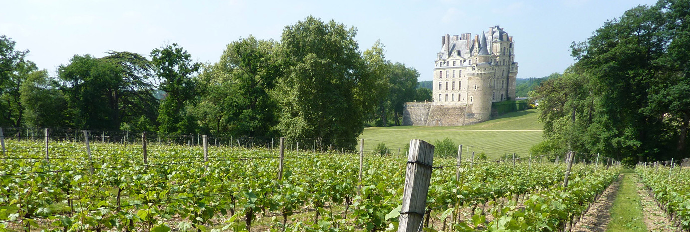 Château de Brissac Parcelle